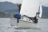 whyw14 sun 6980